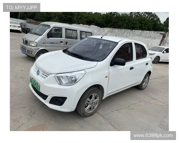 18年的东风ER30二手车能买吗？